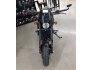 2017 Harley-Davidson Street Rod for sale 201224277